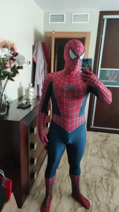 Classic Raimi Spider-Man Costume - Image 17