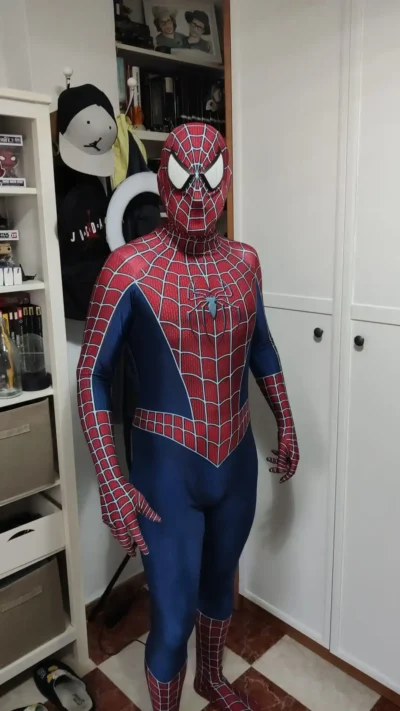 Classic Raimi Spider-Man Costume - Image 13