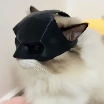 Halloween Black Bat Cat Avenger Mask Cosplay Hat Cat Funny Toys Cool Superhero Cat Masks Pet Supplies Photos Props - Image 17