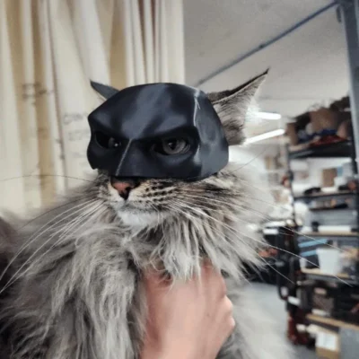 Halloween Black Bat Cat Avenger Mask Cosplay Hat Cat Funny Toys Cool Superhero Cat Masks Pet Supplies Photos Props - Image 2